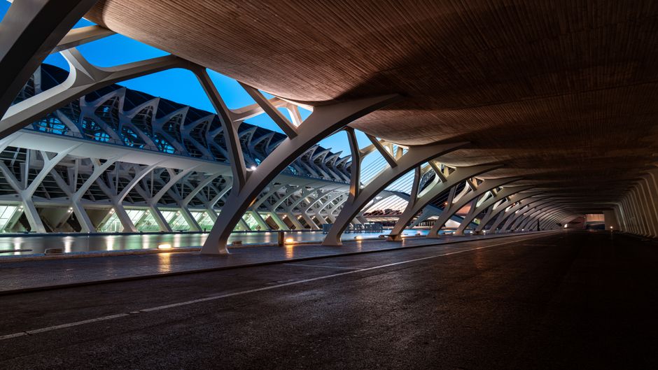 Los arcos iluminados de la Ciudad de las Artes de Valencia al anochecer