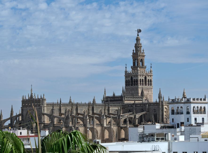 Andalucía: View of the iconic Giralda Tower and Seville Cathedral in sunny Andalucía, Spain.